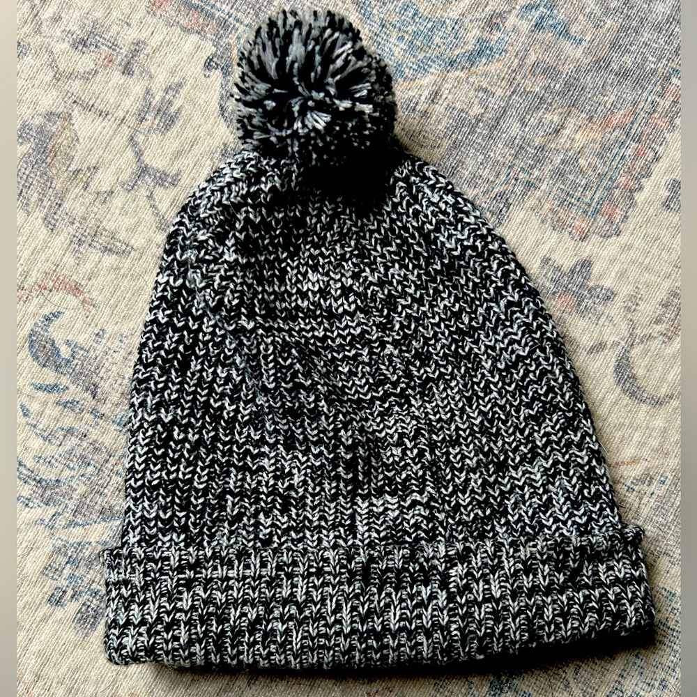 Aritzia TNA Beanie